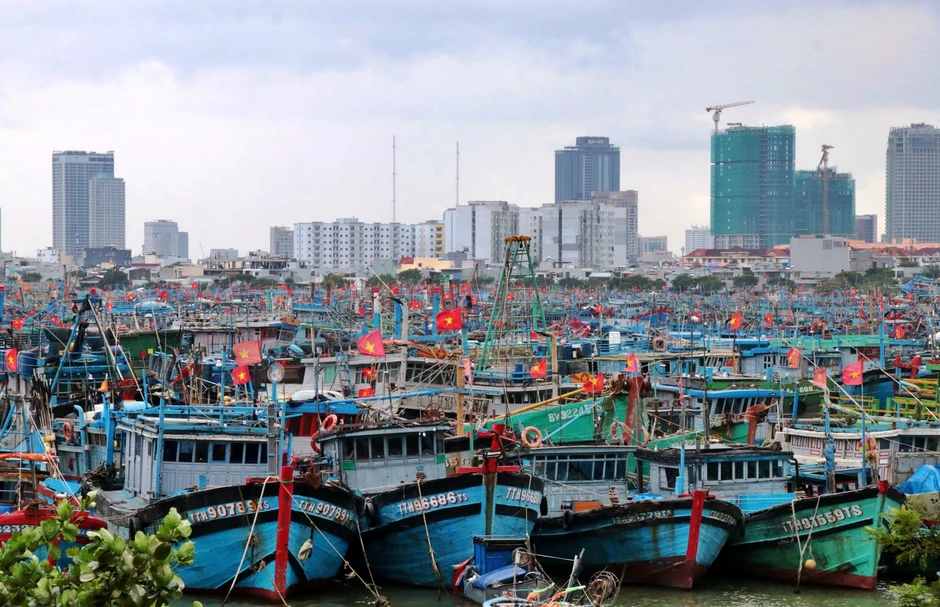 'Xăng dầu tăng giá thì khó thật nhưng biển là nghề của tụi tôi' 'Xăng dầu tăng giá thì khó thật nhưng biển là nghề của tụi tôi'