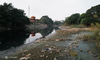 Xây đập trên sông Hồng để hồi sinh loạt dòng sông chết
