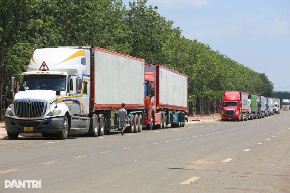 Xe container chở sầu riêng không còn xếp hàng chờ kiểm định ở Đồng Nai Xe container chở sầu riêng không còn xếp hàng chờ kiểm định ở Đồng Nai
