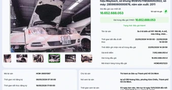 Xe Maybach biển số tứ quý của Trương Mỹ Lan trúng đấu giá hơn 16,6 tỉ đồng
