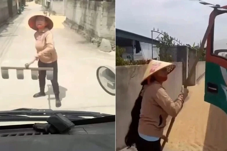 Xôn xao clip người phụ nữ phơi lúa trên đường, chặn đầu xe tấn công tài xế Xôn xao clip người phụ nữ phơi lúa trên đường, chặn đầu xe tấn công tài xế