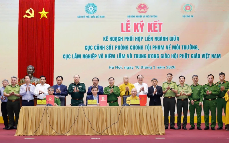 Xử lý nghiêm, ngăn chặn tình trạng xâm hại động vật hoang dã Xử lý nghiêm, ngăn chặn tình trạng xâm hại động vật hoang dã