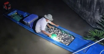 Xử lý người đàn ông bắt cá "kiểu tận diệt" ở khu vực Tắc Bến Rô, TPHCM