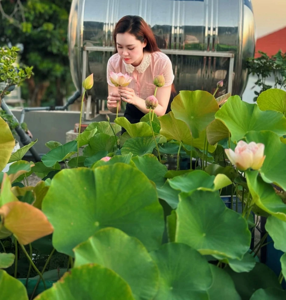 ‘Cõng bùn' lên sân thượng, 9X Quảng Ninh biến mái nhà thành vườn sen thơm ngát ‘Cõng bùn' lên sân thượng, 9X Quảng Ninh biến mái nhà thành vườn sen thơm ngát