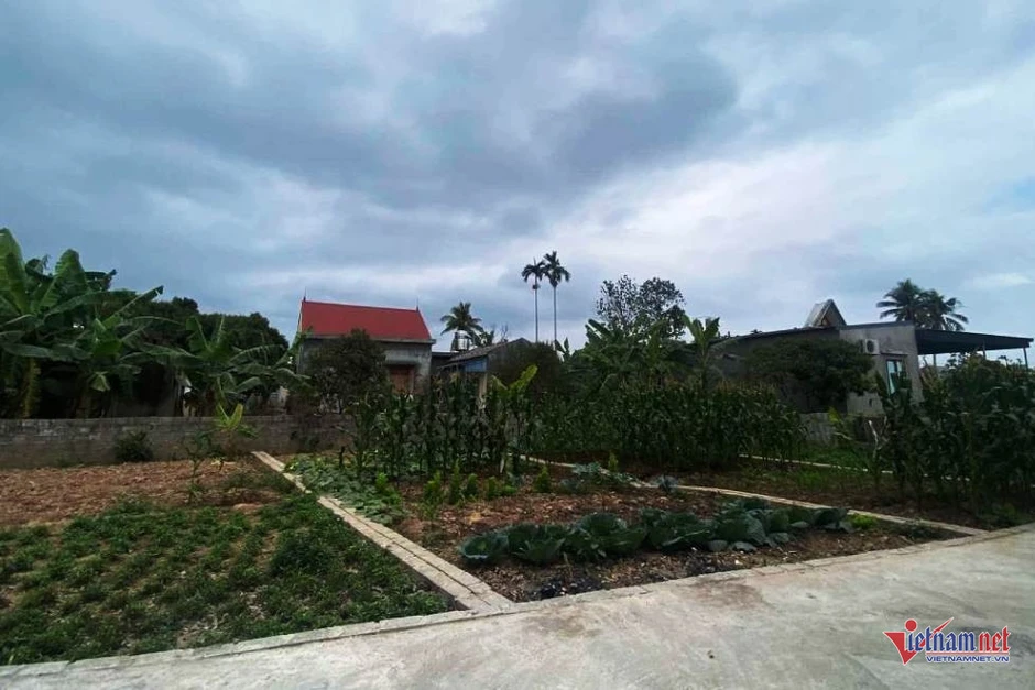 2 năm không về quê chồng, vừa bước vào phòng ngủ, con dâu bật khóc