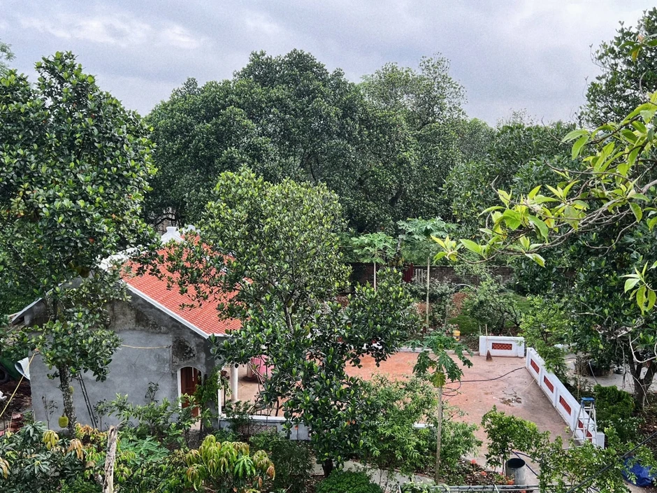 8X Hà Nội biến ngôi nhà ông bà để lại thành nơi lưu giữ ký ức tuổi thơ 8X Hà Nội biến ngôi nhà ông bà để lại thành nơi lưu giữ ký ức tuổi thơ