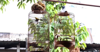 Các con sắp đưa cháu về quê nghỉ hè, ông bà nội tất bật 'giấu tài sản'