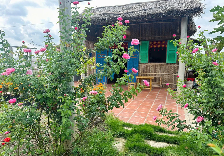 Chàng trai rời phố về quê dựng nhà lá 40m2, xây khu vườn đẹp mê mẩn Chàng trai rời phố về quê dựng nhà lá 40m2, xây khu vườn đẹp mê mẩn