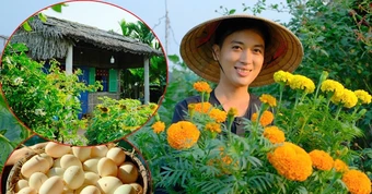 Chàng trai rời phố về quê dựng nhà lá 40m2, xây khu vườn đẹp mê mẩn