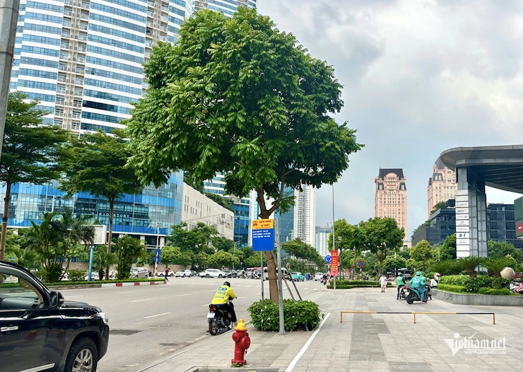 Chồng làm 14-16 tiếng mỗi ngày, gần nửa đêm vẫn sợ về nhà vì một lý do Chồng làm 14-16 tiếng mỗi ngày, gần nửa đêm vẫn sợ về nhà vì một lý do