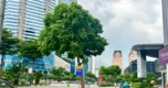 Chồng làm 14-16 tiếng mỗi ngày, gần nửa đêm vẫn sợ về nhà vì một lý do