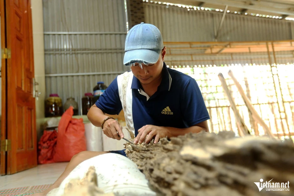Cụ ông 98 tuổi kể chuyện mở lối nghề trầm, đưa xã nghèo thành 'thủ phủ' trăm tỷ Cụ ông 98 tuổi kể chuyện mở lối nghề trầm, đưa xã nghèo thành 'thủ phủ' trăm tỷ