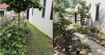 Dùng AI để 'lột xác' khu vườn của cha
