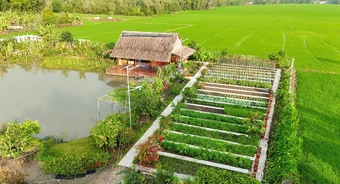 Khu vườn 3.000 m2 như tranh vẽ của cặp vợ chồng An Giang