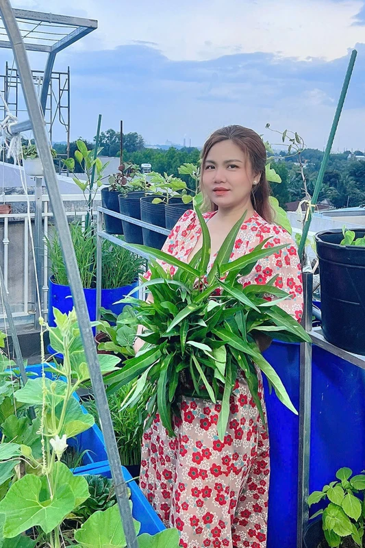 Mẹ đảm Đồng Nai nuôi gà, chim cút, trồng vườn rau xanh mướt trên sân thượng Mẹ đảm Đồng Nai nuôi gà, chim cút, trồng vườn rau xanh mướt trên sân thượng