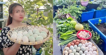 Mẹ đảm Đồng Nai nuôi gà, chim cút, trồng vườn rau xanh mướt trên sân thượng