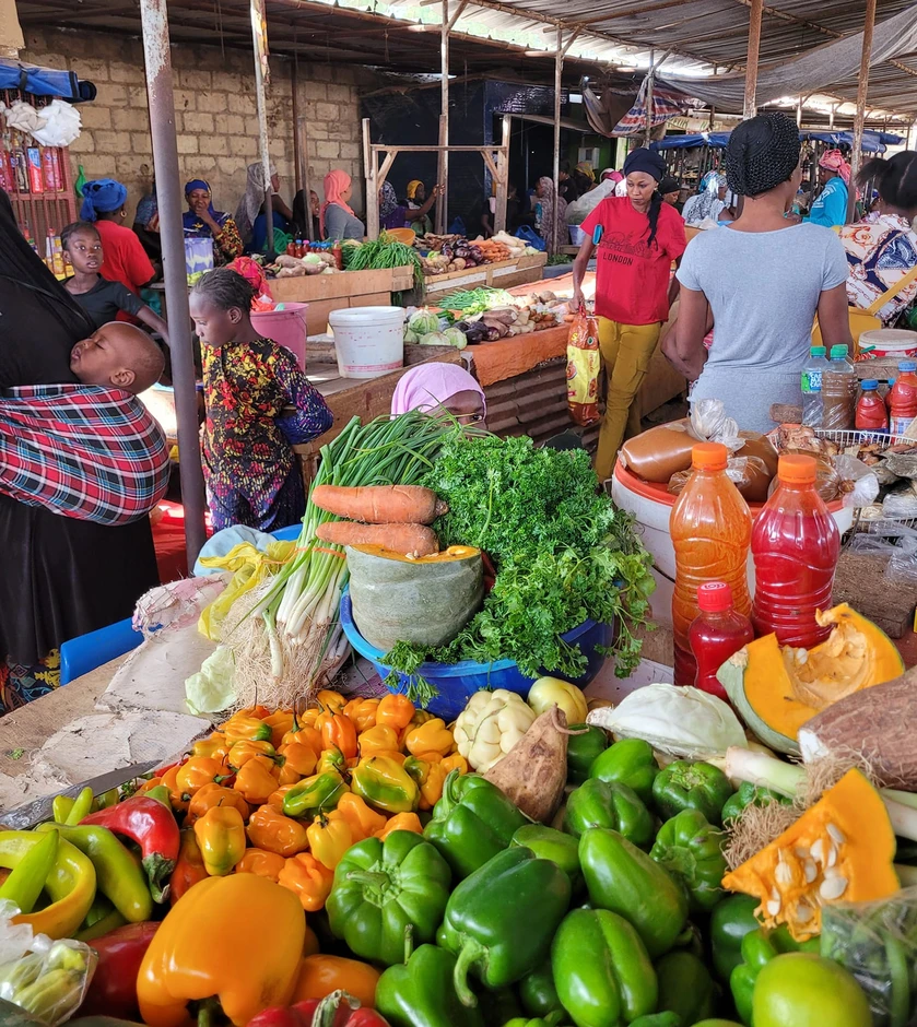 Nàng dâu Việt ở Senegal thuê xe ngựa tìm nguyên liệu làm nem rán, giò chả Nàng dâu Việt ở Senegal thuê xe ngựa tìm nguyên liệu làm nem rán, giò chả