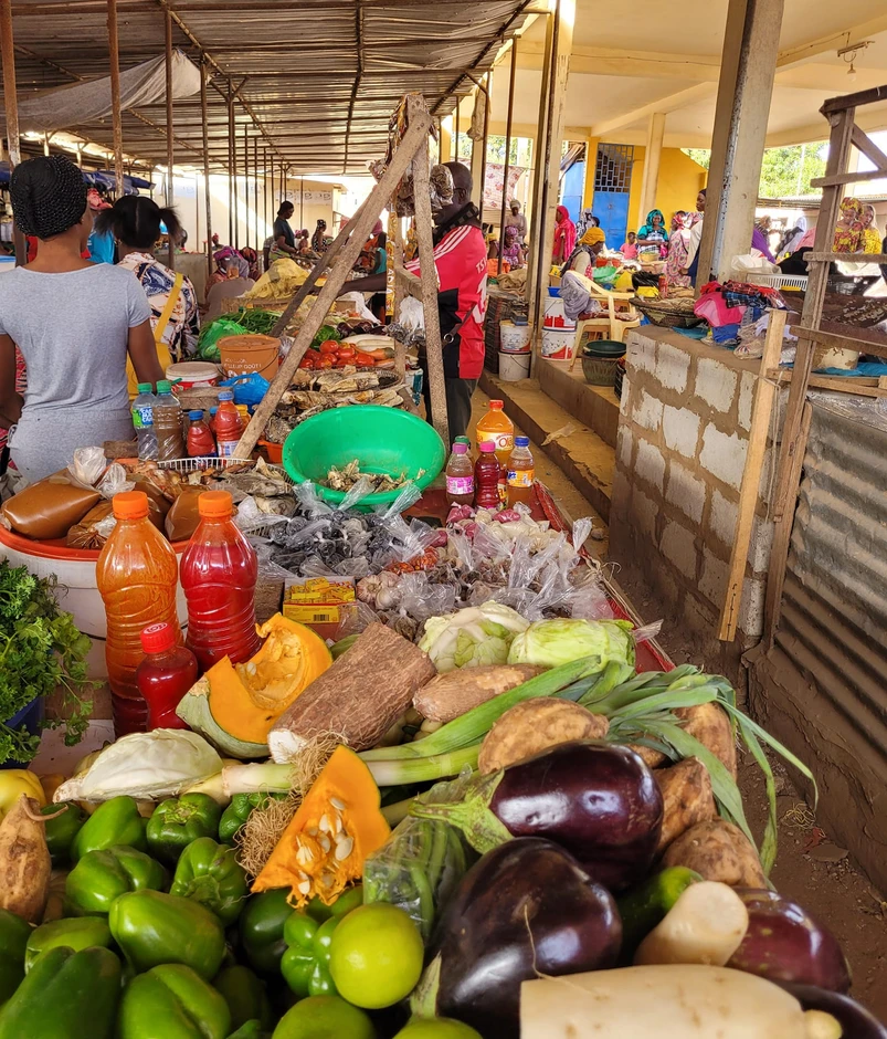 Nàng dâu Việt ở Senegal thuê xe ngựa tìm nguyên liệu làm nem rán, giò chả Nàng dâu Việt ở Senegal thuê xe ngựa tìm nguyên liệu làm nem rán, giò chả