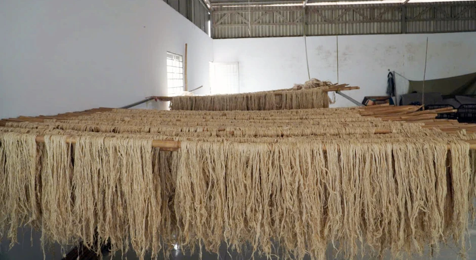 Người đàn ông Cần Thơ biến lá bỏ đi thành sợi, nông dân có thêm tiền triệu Người đàn ông Cần Thơ biến lá bỏ đi thành sợi, nông dân có thêm tiền triệu