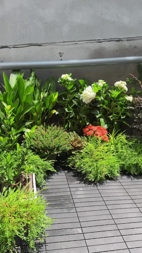 Thuê 80m2 đất trống, vợ chồng ở Phú Thọ chi 40 triệu đồng dựng tổ ấm tiện nghi Thuê 80m2 đất trống, vợ chồng ở Phú Thọ chi 40 triệu đồng dựng tổ ấm tiện nghi