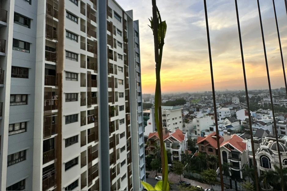 Vắng giúp việc vài ngày, nữ giám đốc xinh đẹp khiến chồng ngỡ ngàng Vắng giúp việc vài ngày, nữ giám đốc xinh đẹp khiến chồng ngỡ ngàng