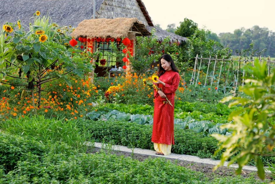 Vợ chồng ở An Giang bỏ phố về quê dựng khu vườn xanh mướt, hút triệu view Vợ chồng ở An Giang bỏ phố về quê dựng khu vườn xanh mướt, hút triệu view