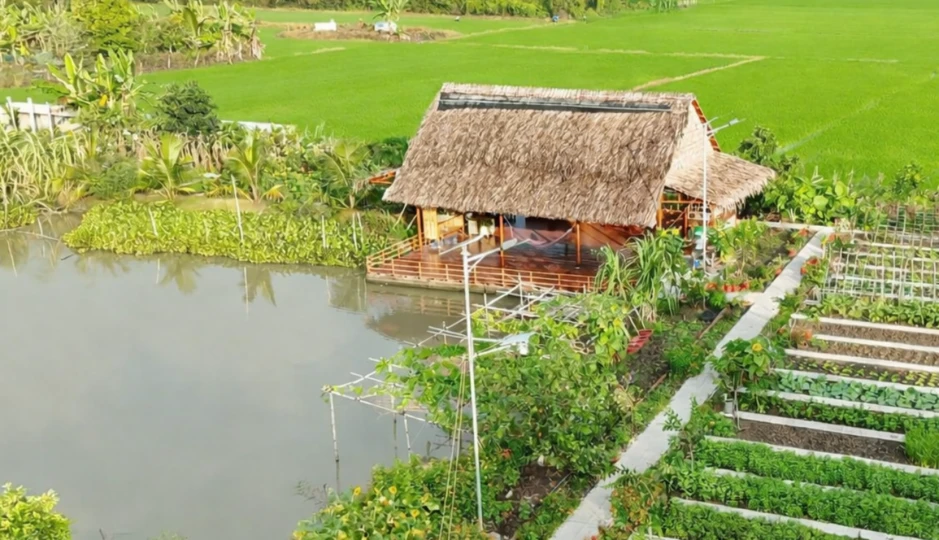 Vợ chồng ở An Giang bỏ phố về quê dựng khu vườn xanh mướt, hút triệu view Vợ chồng ở An Giang bỏ phố về quê dựng khu vườn xanh mướt, hút triệu view