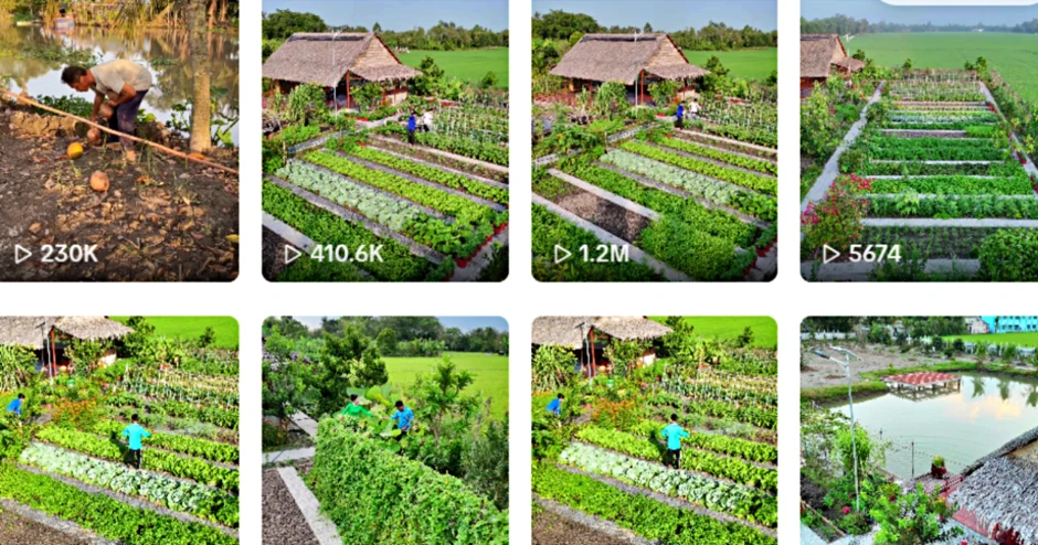 Vợ chồng ở An Giang bỏ phố về quê dựng khu vườn xanh mướt, hút triệu view Vợ chồng ở An Giang bỏ phố về quê dựng khu vườn xanh mướt, hút triệu view
