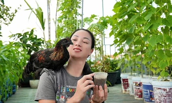 Vợ chồng Thanh Hóa nuôi gà, trồng rau, thả cá trên sân thượng
