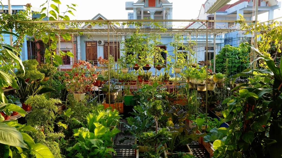 Vợ chồng Thanh H&oacute;a nu&ocirc;i g&agrave;, trồng rau, thả c&aacute; tr&ecirc;n s&acirc;n thượng