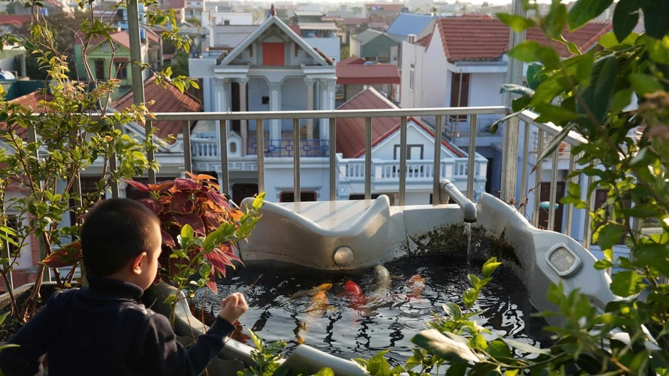Vợ chồng Thanh H&oacute;a nu&ocirc;i g&agrave;, trồng rau, thả c&aacute; tr&ecirc;n s&acirc;n thượng