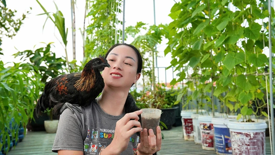 Vợ chồng Thanh H&oacute;a nu&ocirc;i g&agrave;, trồng rau, thả c&aacute; tr&ecirc;n s&acirc;n thượng