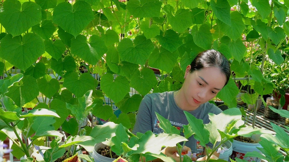 Vợ chồng Thanh H&oacute;a nu&ocirc;i g&agrave;, trồng rau, thả c&aacute; tr&ecirc;n s&acirc;n thượng