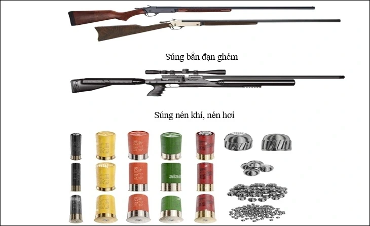 Người sử dụng, tàng trữ súng bắn đạn ghém, súng hơi sẽ đối mặt với tội Hình sự