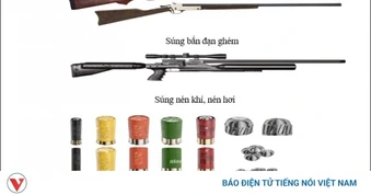 Người sử dụng, tàng trữ súng bắn đạn ghém, súng hơi sẽ đối mặt với tội Hình sự