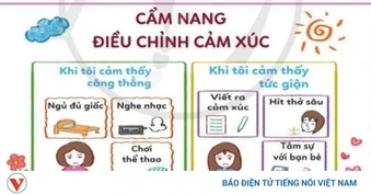 Từ va chạm nhỏ tới vòng lao lý