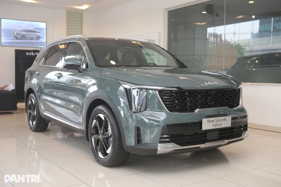 Chọn Mazda CX-60, Ford Everest hay Skoda Kodiaq? Chọn Mazda CX-60, Ford Everest hay Skoda Kodiaq?