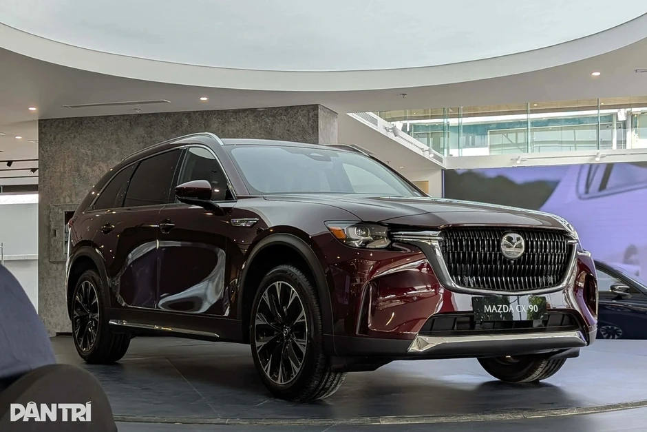 Tầm giá 2,5 tỷ đồng, ngoài Mazda CX-90 còn có lựa chọn SUV hạng sang nào? Tầm giá 2,5 tỷ đồng, ngoài Mazda CX-90 còn có lựa chọn SUV hạng sang nào?