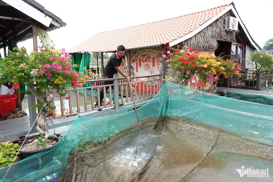 9X Cần Thơ kiếm tiền tỷ nhờ nuôi cá xanh kỳ, làm du lịch trên bè giữa sông Hậu 9X Cần Thơ kiếm tiền tỷ nhờ nuôi cá xanh kỳ, làm du lịch trên bè giữa sông Hậu