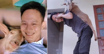 9X Hải Phòng nuôi thú cưng có sừng, chủ đi xa liền lên sân thượng đợi