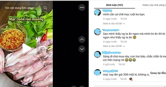 Ăn theo mạng xã hội: 'Bắt trend' coi chừng... toang