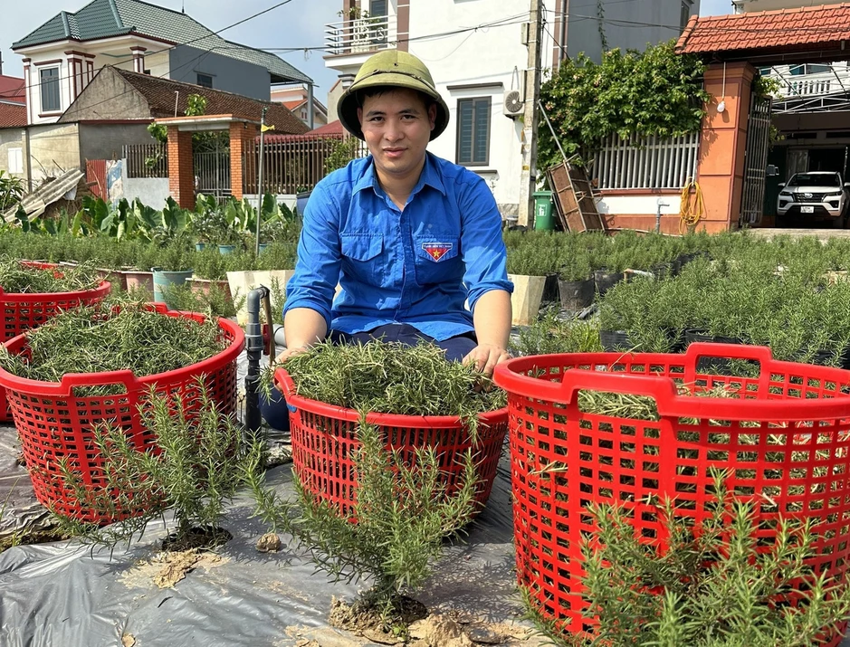Bắc Ninh bố trí 190 tỷ đồng tiếp sức thanh niên khởi nghiệp Bắc Ninh bố trí 190 tỷ đồng tiếp sức thanh niên khởi nghiệp