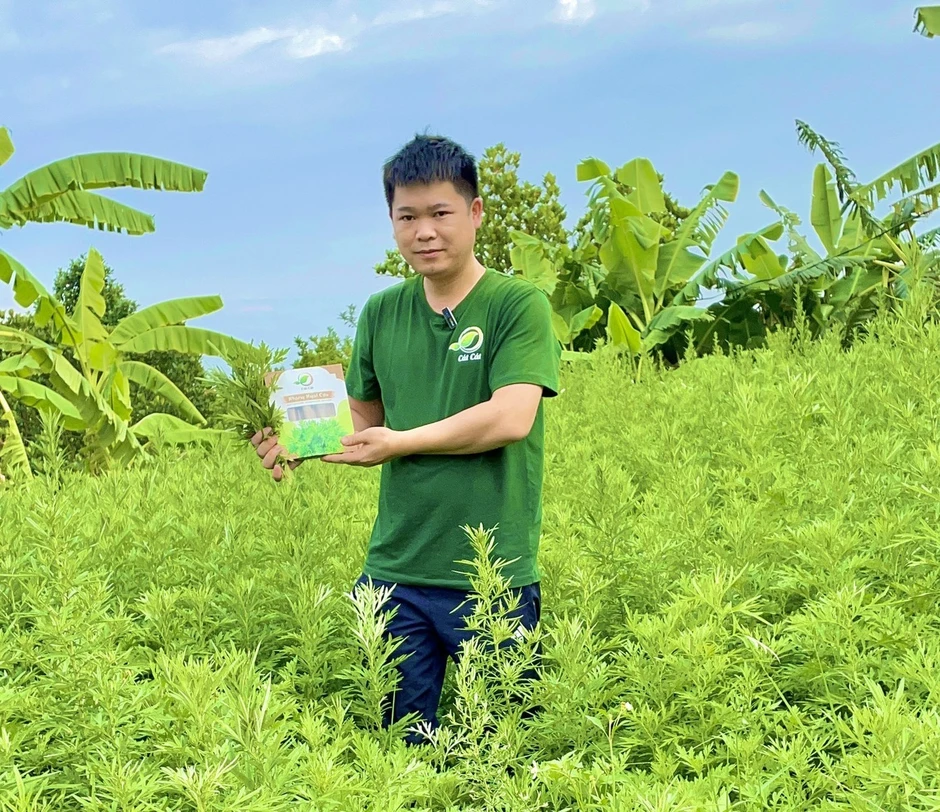 Bắc Ninh bố trí 190 tỷ đồng tiếp sức thanh niên khởi nghiệp Bắc Ninh bố trí 190 tỷ đồng tiếp sức thanh niên khởi nghiệp