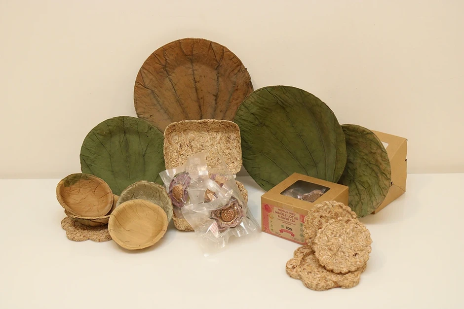 Bao bì sinh học từ lục bình: Giải pháp khởi nghiệp của nhóm sinh viên Cần Thơ Bao bì sinh học từ lục bình: Giải pháp khởi nghiệp của nhóm sinh viên Cần Thơ