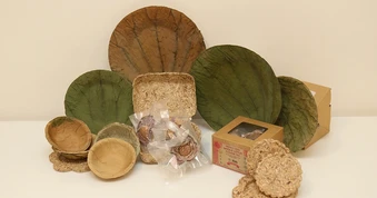 Bao bì sinh học từ lục bình: Giải pháp khởi nghiệp của nhóm sinh viên Cần Thơ
