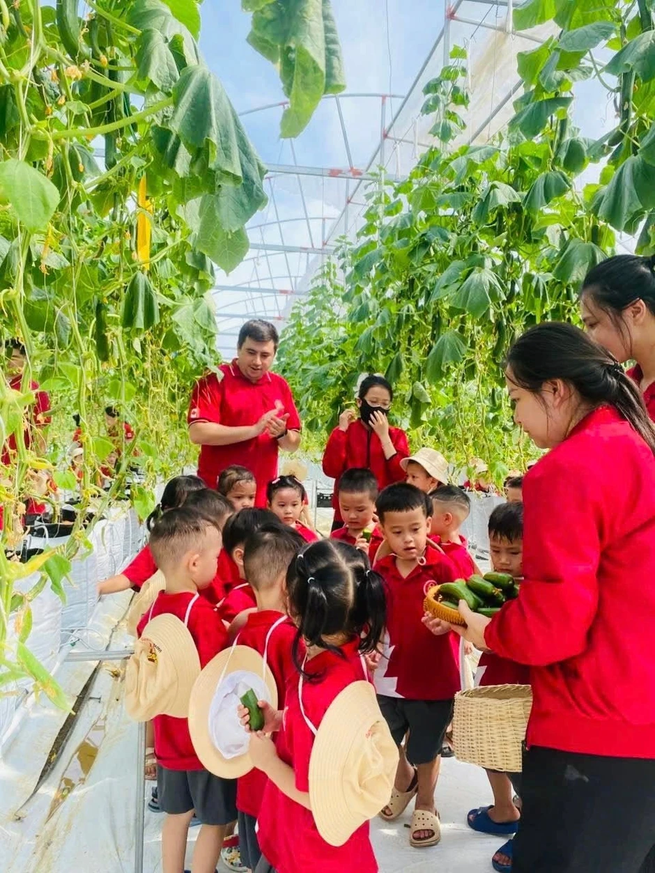 Bỏ lương nghìn đô, kỹ sư trẻ về quê làm trang trại nông nghiệp công nghệ cao đẹp như phim Bỏ lương nghìn đô, kỹ sư trẻ về quê làm trang trại nông nghiệp công nghệ cao đẹp như phim