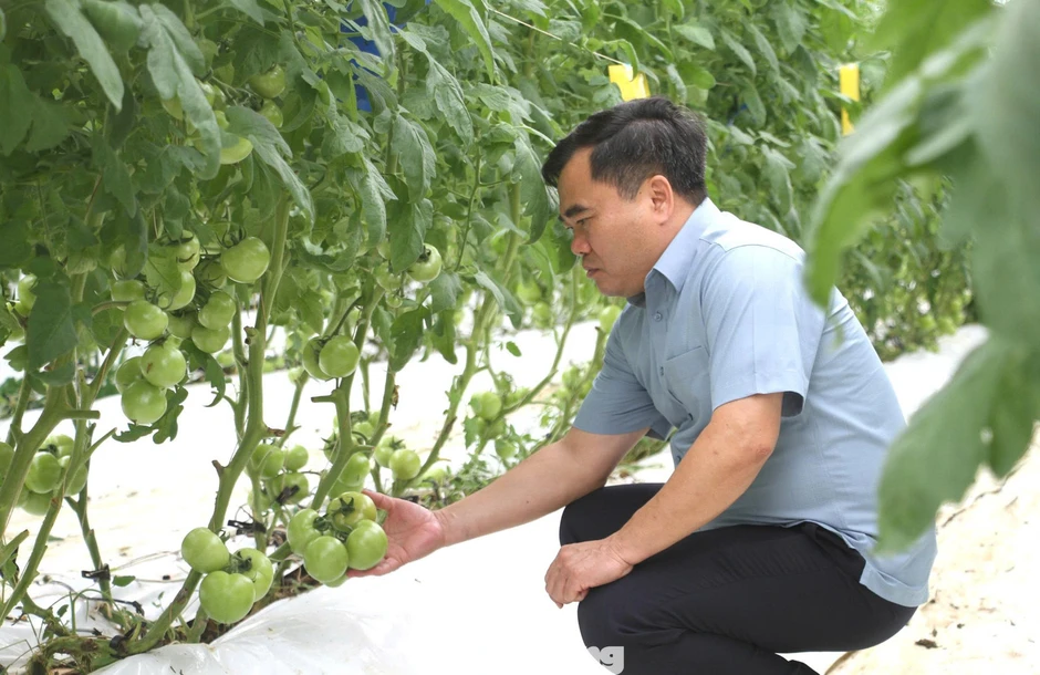Bỏ lương nghìn đô, kỹ sư trẻ về quê làm trang trại nông nghiệp công nghệ cao đẹp như phim Bỏ lương nghìn đô, kỹ sư trẻ về quê làm trang trại nông nghiệp công nghệ cao đẹp như phim