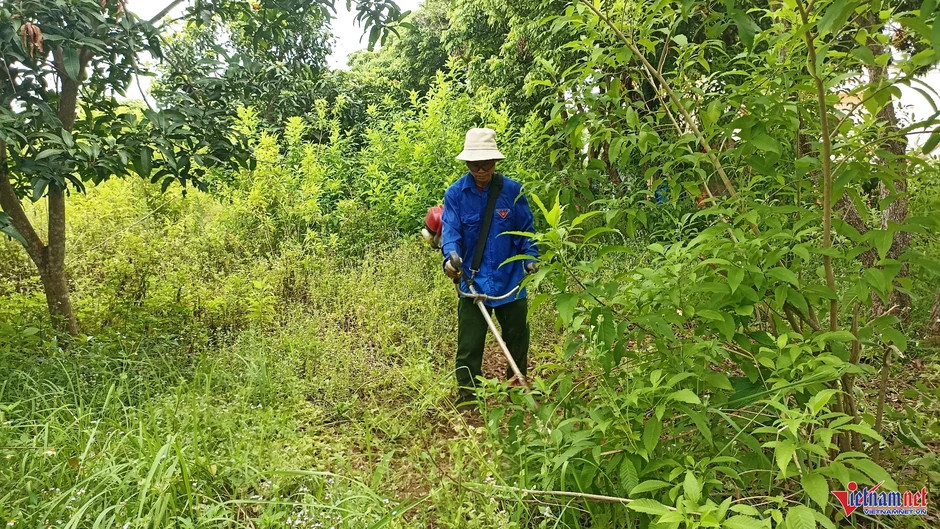 Bỏ ngoài tai lời dị nghị, 9X Ninh Bình làm việc khiến cả làng thay đổi cách nhìn
