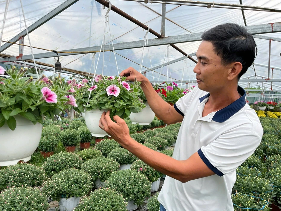 Bỏ phố về quê, chàng kỹ sư ‘đánh thức’ đất đồi bằng những mùa hoa tiền triệu Bỏ phố về quê, chàng kỹ sư ‘đánh thức’ đất đồi bằng những mùa hoa tiền triệu
