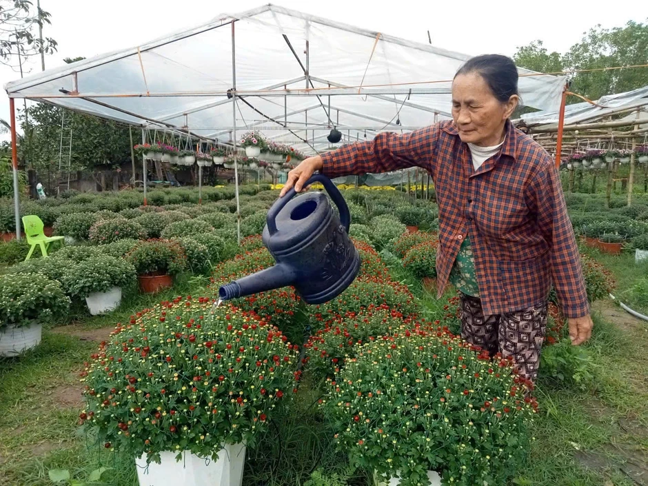 Bỏ phố về quê, chàng kỹ sư ‘đánh thức’ đất đồi bằng những mùa hoa tiền triệu Bỏ phố về quê, chàng kỹ sư ‘đánh thức’ đất đồi bằng những mùa hoa tiền triệu